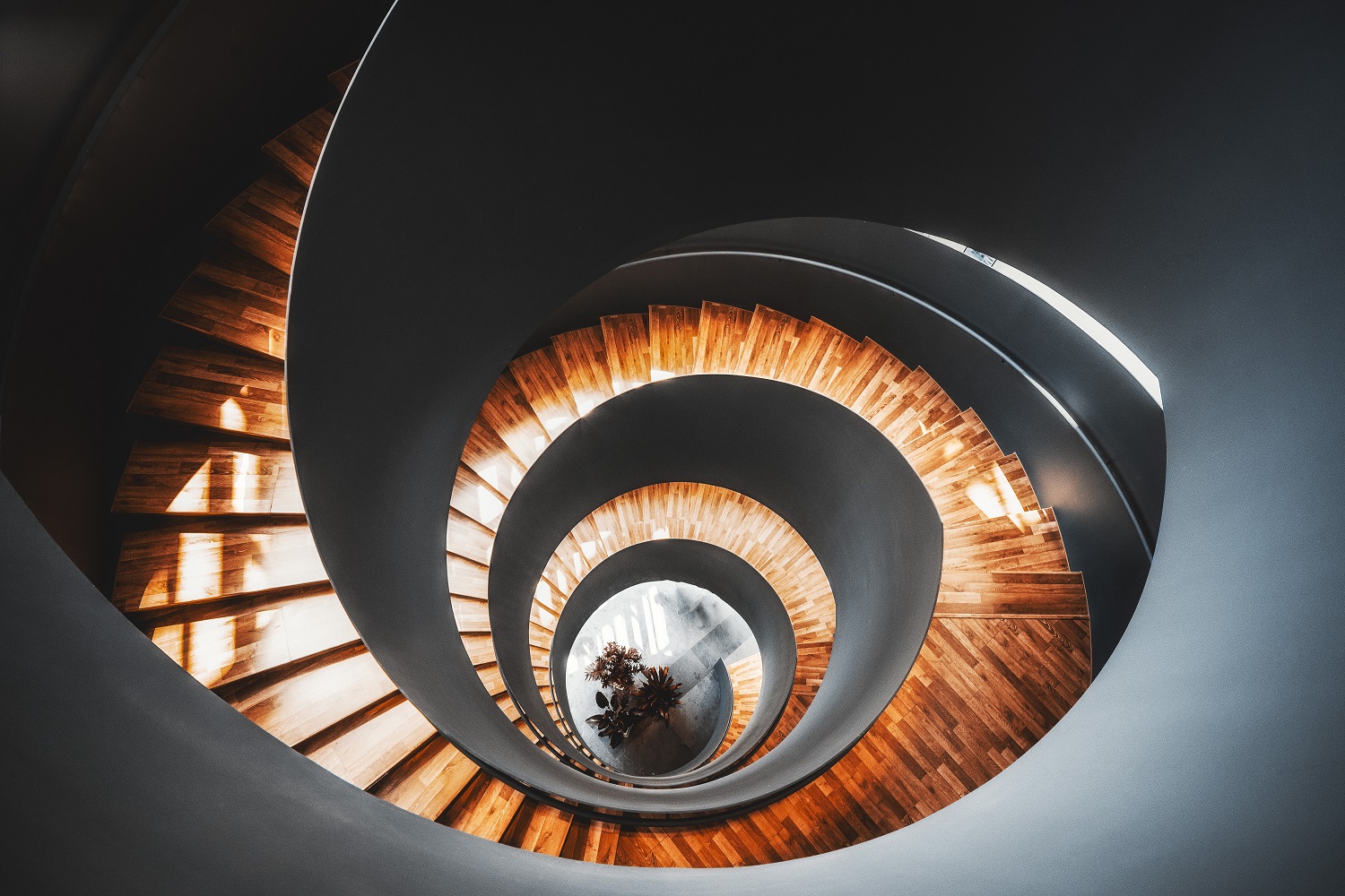 作者姓名：石小龙&nbsp;&nbsp;&nbsp;&nbsp;镜头型号：FFⅡ 12-24mm F5.6 C-Dreamer