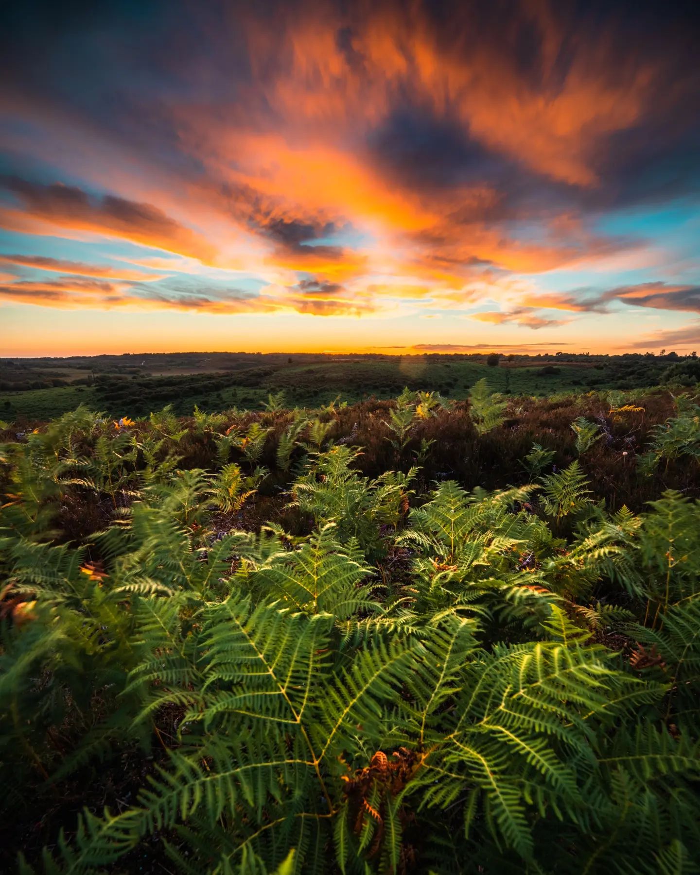 作者姓名：JohnH.Photography&nbsp;&nbsp;&nbsp;&nbsp;镜头型号：FFⅡ 12-24mm F5.6 C-Dreamer