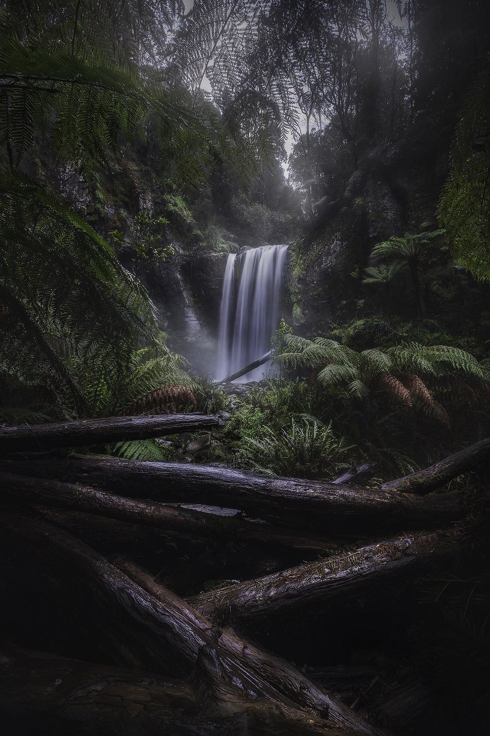 作者姓名：Alexander Martindes Chung&nbsp;&nbsp;&nbsp;&nbsp;镜头型号：CF 10mm F4.0 Cookie